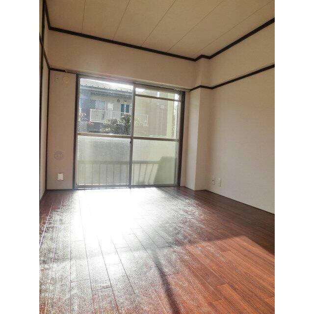 参考写真
