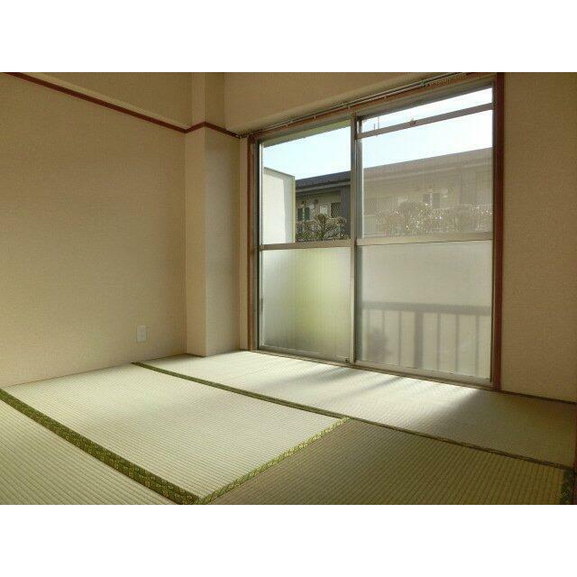 参考写真