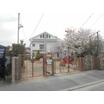 幼稚園、保育園