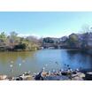 公園