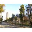 公園