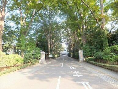 東京農工大学