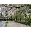 公園