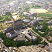 大学
