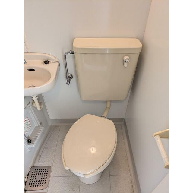 ※クリーニング前の写真です。