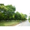 公園