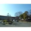 大学