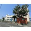 幼稚園、保育園