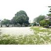 公園