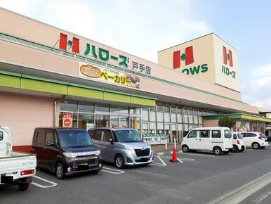 ハローズ戸手店