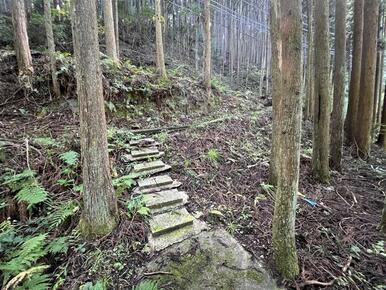 接道から目的物件までの歩道