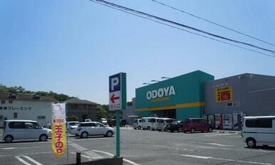 おどや館山海岸店