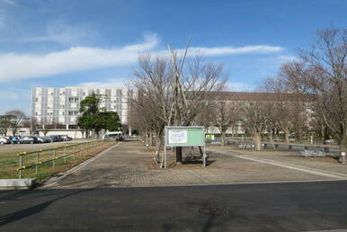 東京大学柏キャンパス