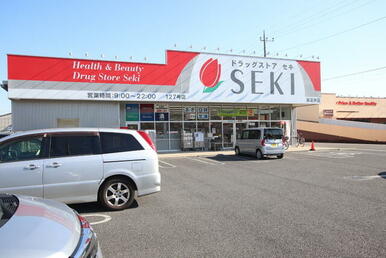 ドラッグストアセキ 東深井店