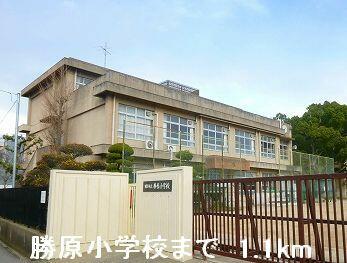 勝原小学校