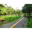 公園