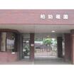 幼稚園、保育園