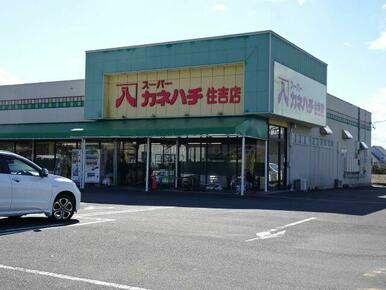 カネハチ　住吉店
