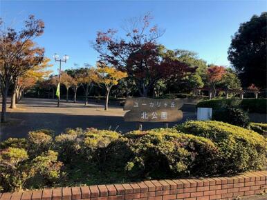 ユーカリが丘北公園