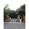 大学