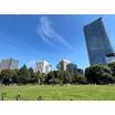 公園