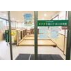 幼稚園、保育園