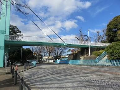 横浜市立野毛山動物園