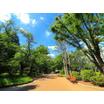 公園