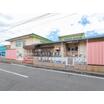 幼稚園、保育園