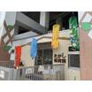 幼稚園、保育園