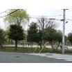 公園