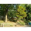 公園