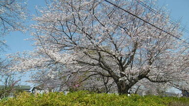 馬込八番公園