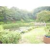 公園