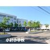 小学校