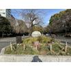 公園