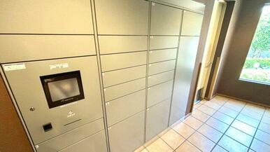 令和7年9月撮影