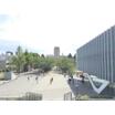 大学
