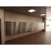 共有部分