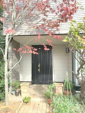 南ひな壇の高台に位置し、明るい陽光が降り注ぐ玄関先。ゆとりあるアプローチはベビーカーの出し入れもし