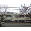 中学校
