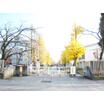 大学