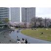 公園