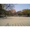 公園