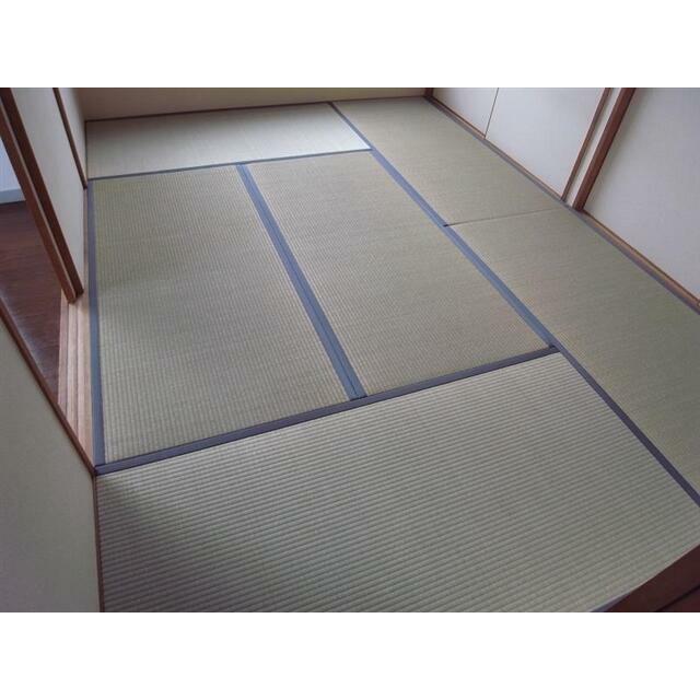 前回募集時の写真です。