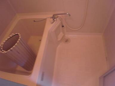 前回募集時の写真です。