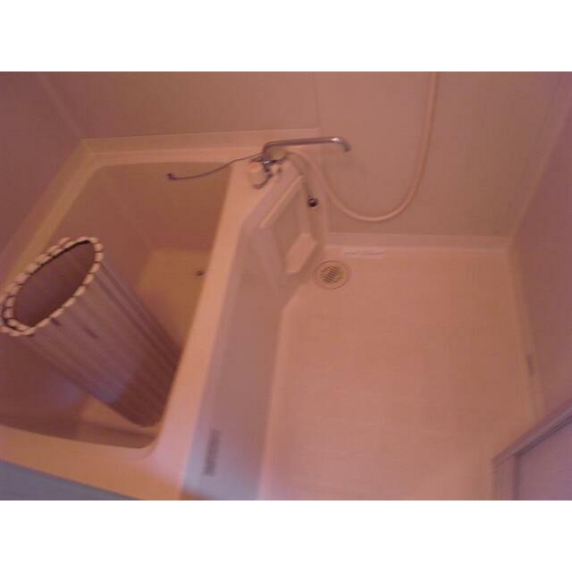 前回募集時の写真です。