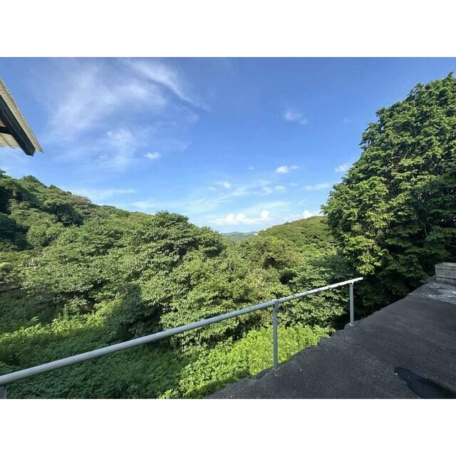 豊かな緑が一面に広がる、自然を身近に感じられる眺望