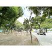 公園