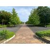 公園